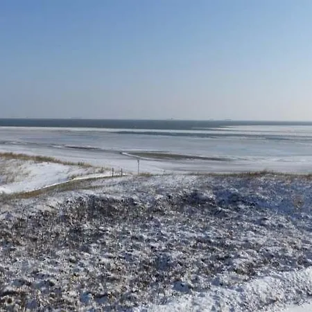 Langeness Whg 21 Suedblick Διαμέρισμα Wyk auf Föhr